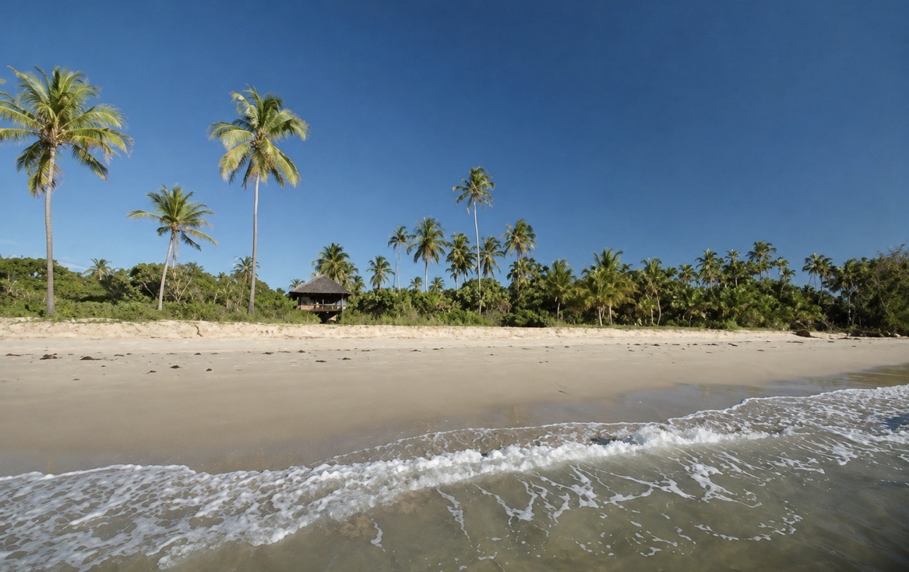 Beachfront property in Saadani