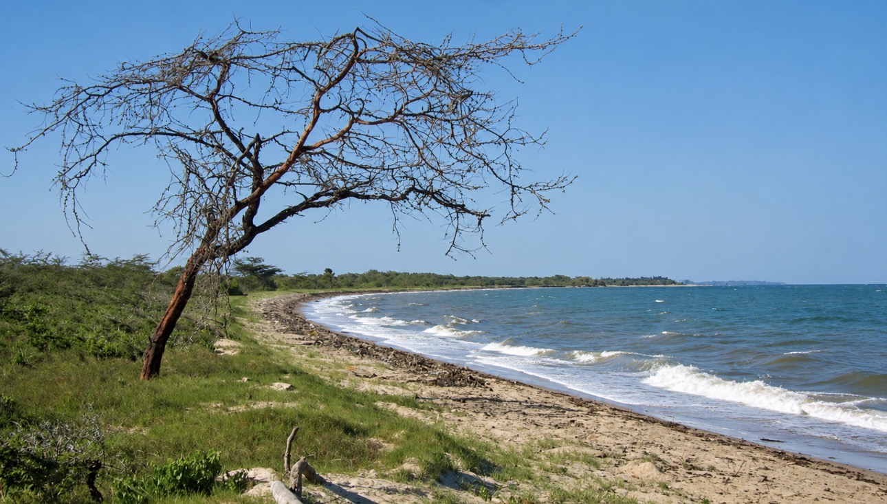 Saadani beachfront