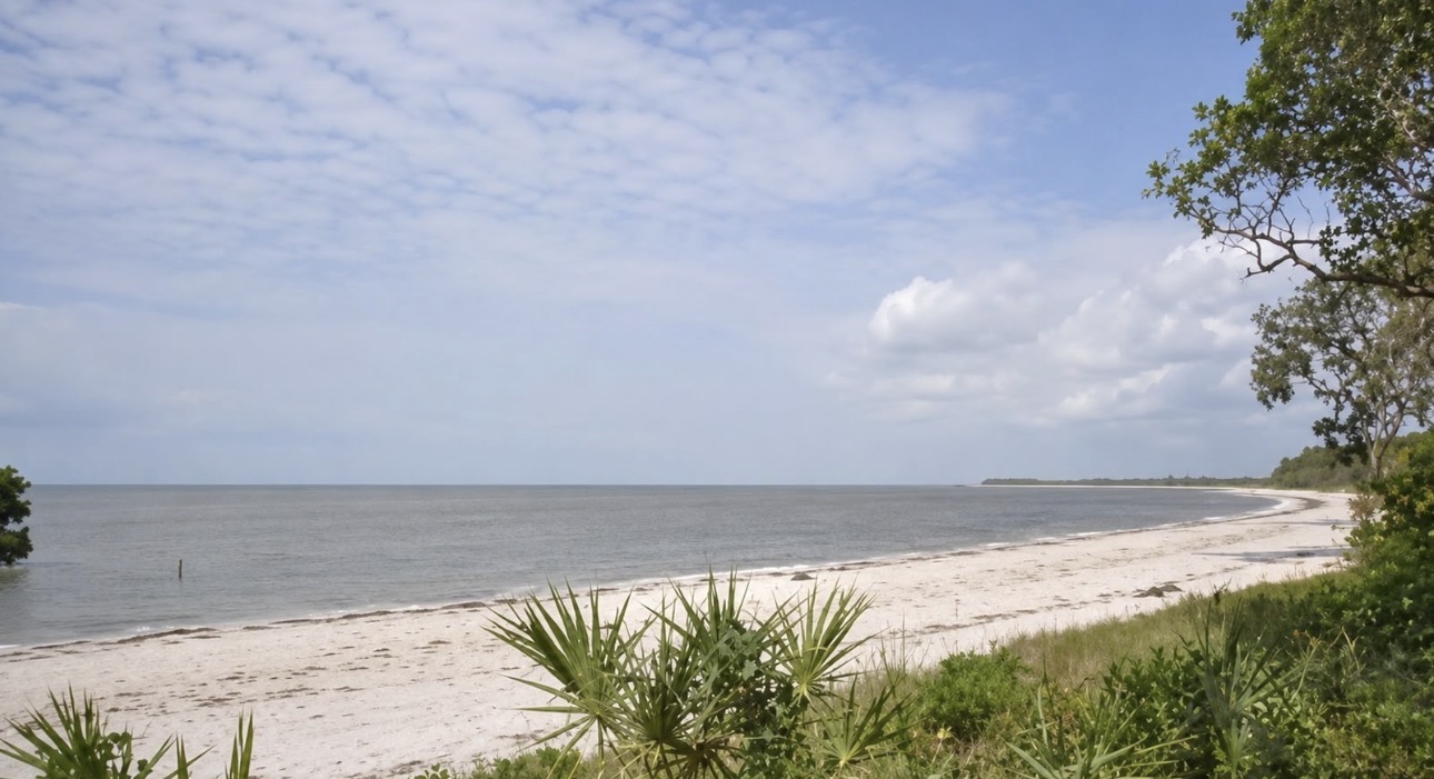 Saadani coastline facing Zanzibar