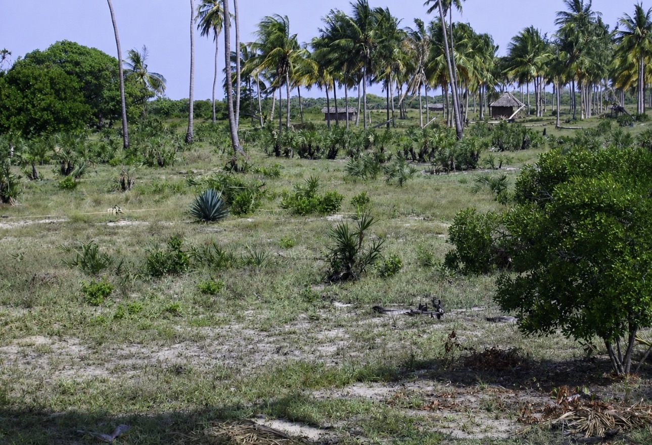 Saadani beachfront development opportunity